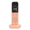 UCC & Wearables Festnetztelefone Tischtelefon analog & SIP - GIGASET CL390A Cantaloupe